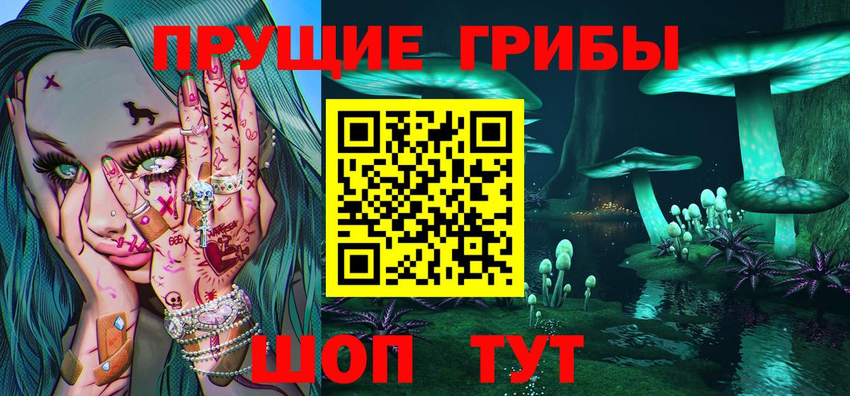 Псилоцибиновые грибы ЛСД  Вход с VPN  Псилоцибиновые грибы прущие грибы  Димитровград 