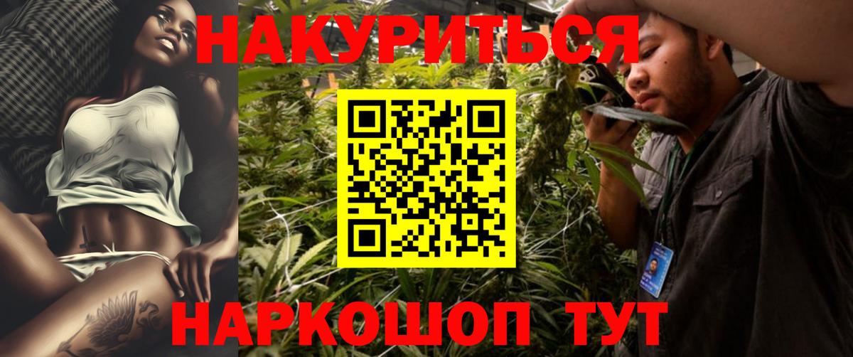 Димитровград  Бошки Шишки сатива  МАРИХУАНА LSD WEED  Конопля планчик  Вход с VPN  МАРИХУАНА план 